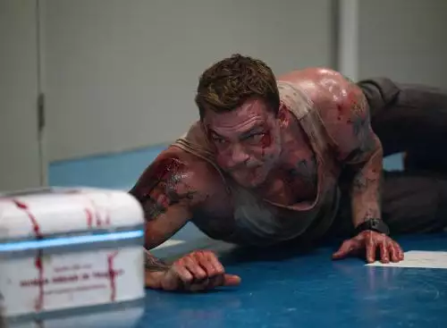 Runner_134317882563384778_big-cine_deskt.webp